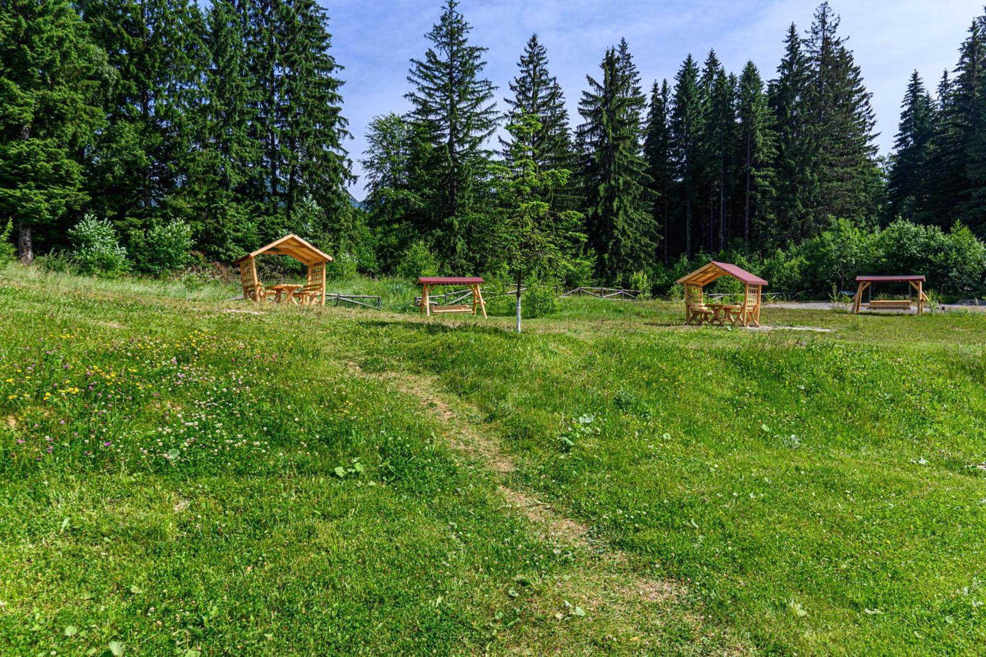 Apartment "Mountain Relax" Poiana Brasov Bagian luar foto