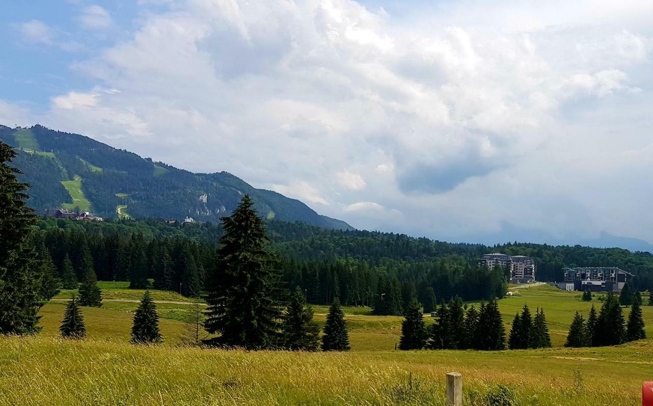 Apartment "Mountain Relax" Poiana Brasov Bagian luar foto
