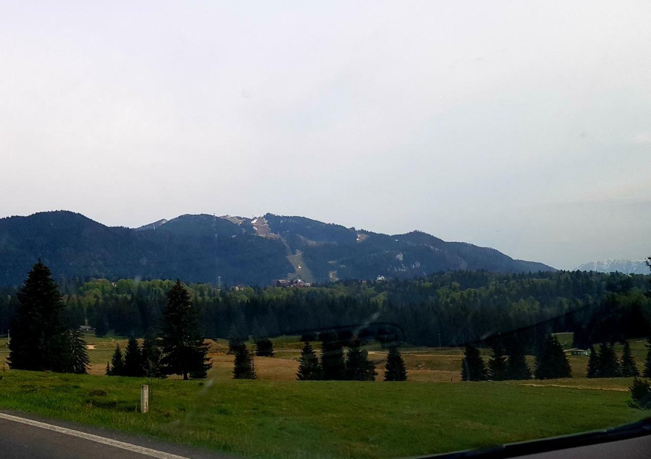 Apartment "Mountain Relax" Poiana Brasov Bagian luar foto
