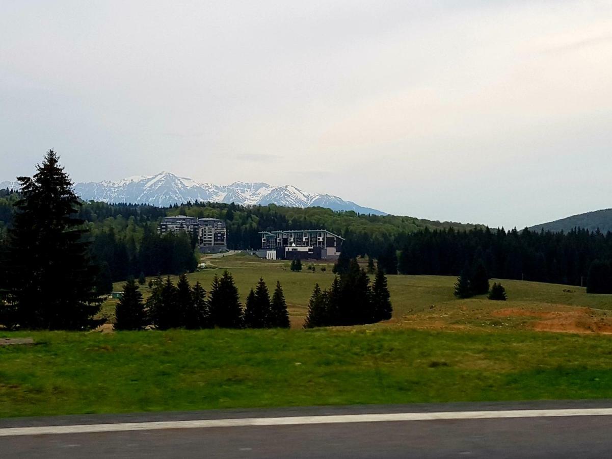 Apartment "Mountain Relax" Poiana Brasov Bagian luar foto